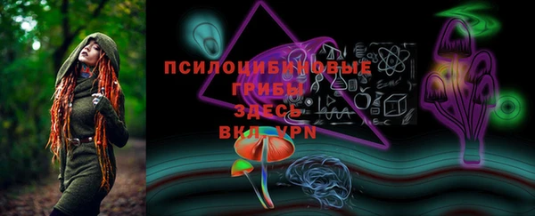 дмт Аркадак