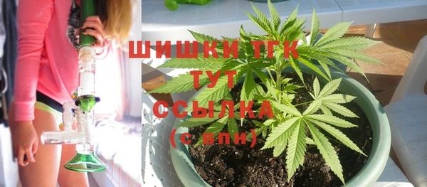 дмт Аркадак